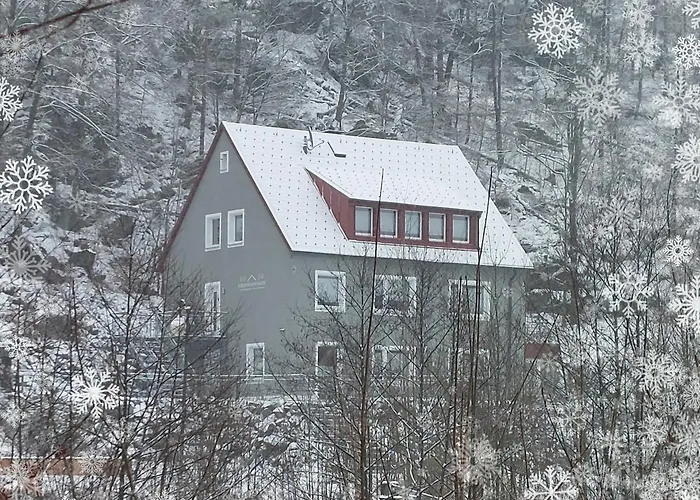 Am Quellenhaeuschen شقة