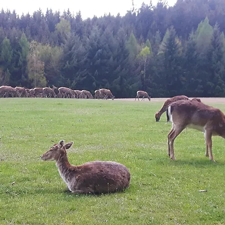 Am Quellenhaeuschen *