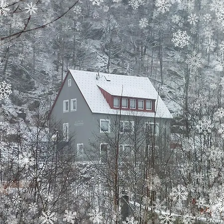 Am Quellenhaeuschen Apartment